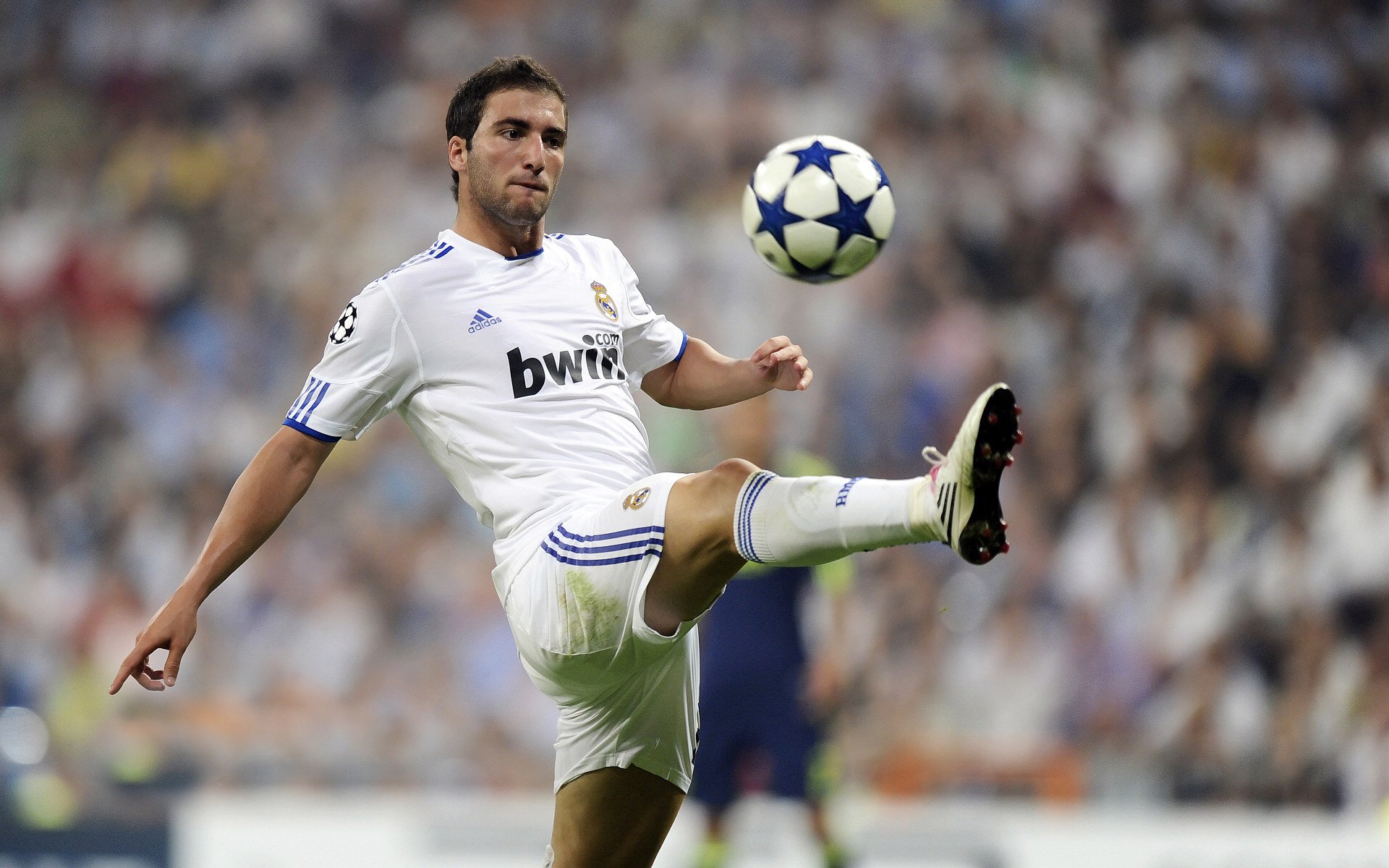 传奇私房菜:那些年NBA明星的篮球秘笈,nba篮球明星自传