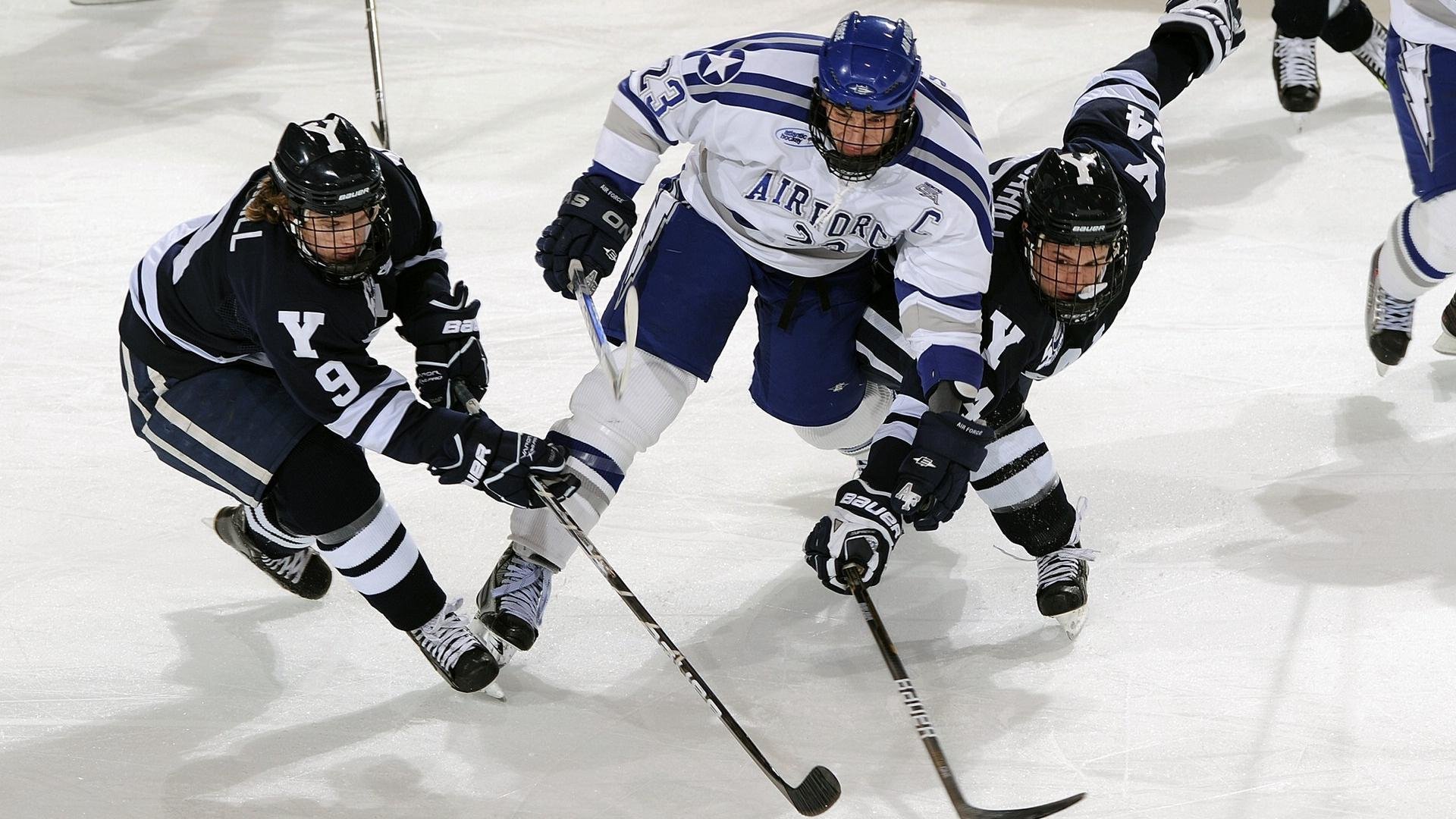-大型森林高空绳索探索，刺激十足的极限体验，高空绳索训练架